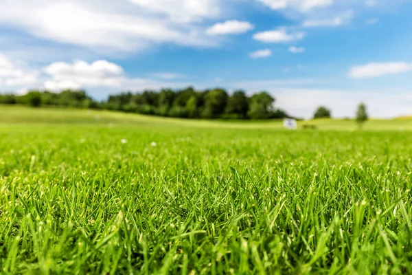 Grüner Golfplatz mit blauem Himmel. — Stockfoto