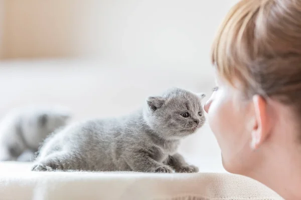 Γάτα και γυναίκα τρίβοντας τις μύτες. — Φωτογραφία Αρχείου