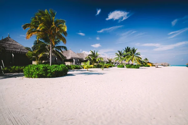 Szalma Házak Homokos Strandon Trópusi Növény Meleg Nyaralóhely Egzotikus Maldív — Stock Fotó