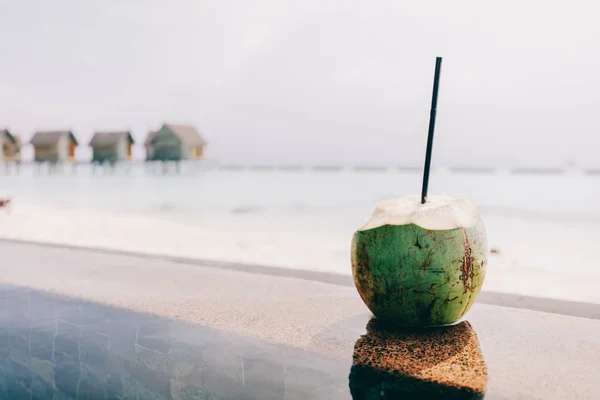 Kokos Med Halm Stående Vid Poolen Havsutsikt Bakgrunden Naturliga Friska — Stockfoto