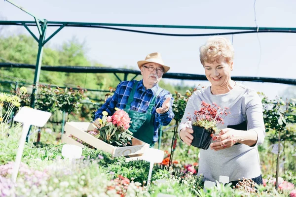 Seniorenpaar Pflückt Pflanzen Einem Gartencenter Gartenkonzept — Stockfoto