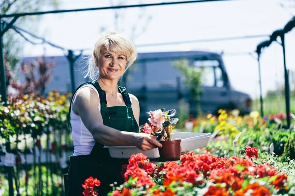 Mujer Rubia Que Trabaja Centro Jardinería Como Jardinero Pequeñas Empresas — Foto de Stock