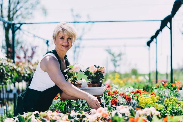 Wanita Yang Menarik Memilih Bunga Pusat Berkebun Bekerja Pertanian — Stok Foto