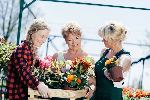 一个女孩和两个高级妇女背着一个装满鲜花的盒子 家族企业 — 图库照片