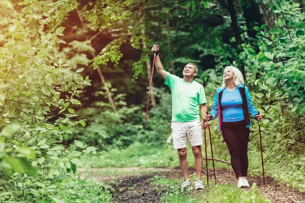 Bejaarde Echtpaar Bewonderen Van Natuur Wandelen Het Bos Sportieve Levensstijl — Stockfoto