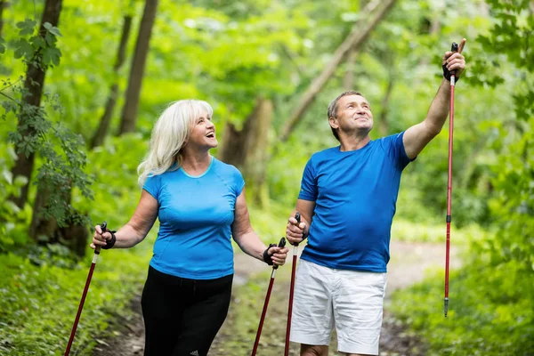 Retired Marriage Looking Trees Forest While Trekking Outdoor Activities Mature — Stock Photo, Image
