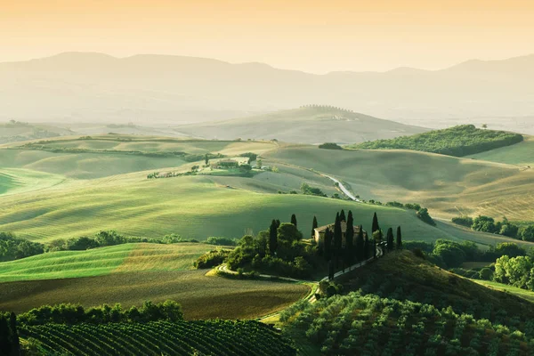 Landschap Bij Zonsopgang Heuvels Boerderijen Wijngaarden Toscane Italië — Stockfoto