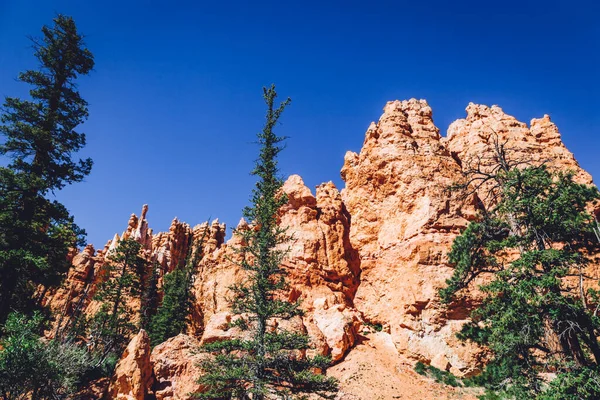 Bryce Canyon Utah Usa Maga Hoodoos Geológiai Struktúráival — Stock Fotó