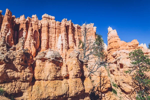 Bryce Canyon Utah Usa Maga Hoodoos Geológiai Struktúráival — Stock Fotó