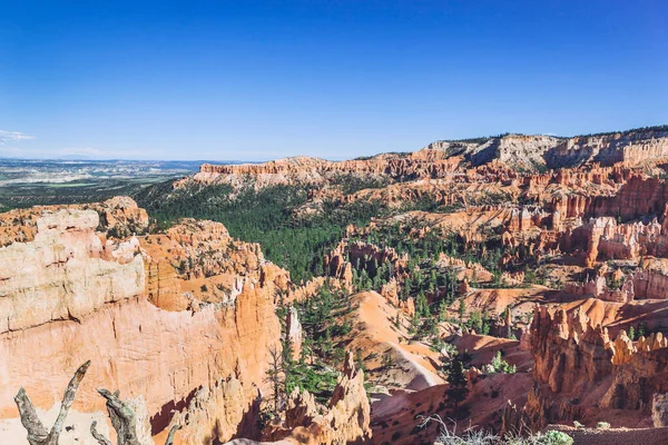 Bryce Canyon Utah Usa Maga Hoodoos Geológiai Struktúráival — Stock Fotó