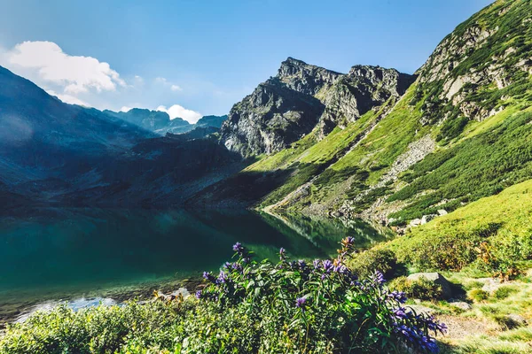 Cima Koscielec Nelle Montagne Tatra Polonia Czarny Staw Gasienicowy Lago — Foto Stock