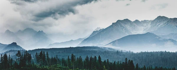 Υψηλές Βουνοκορφές Στα Σύννεφα Και Ομίχλη Όρη Tatra Πολωνία — Φωτογραφία Αρχείου