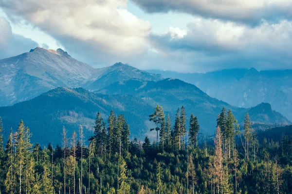 Bosque Bajo Los Picos Montaña Las Nubes Atardecer Montañas Tatra —  Fotos de Stock