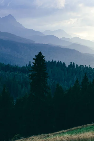 Floresta Sob Picos Montanha Nuvens Pôr Sol Montanhas Tatra Polônia — Fotografia de Stock