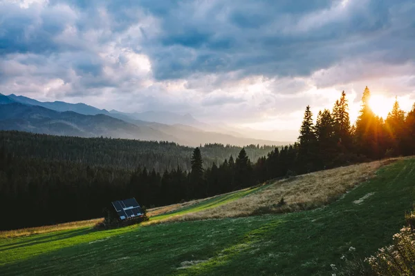 Les Pod Vrcholky Hor Mracích Zapadá Při Západu Slunce Tatry — Stock fotografie