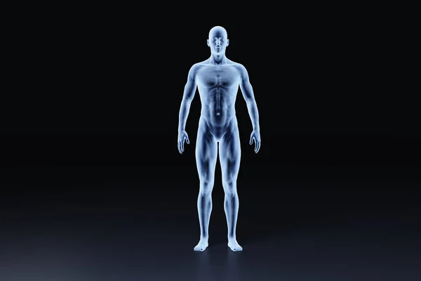 Nsan Vücudunun Röntgen Çizgisi Manzara Tıbbi Bilimsel Boyutlu Illüstrasyon — Stok fotoğraf