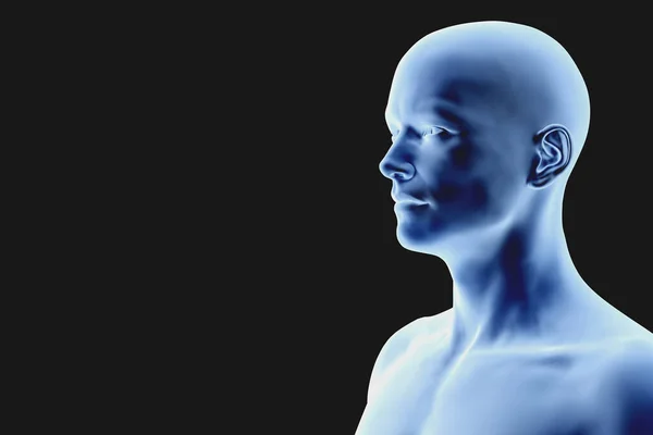 人的颈部和头部的X光轮廓 医学和科学3D图解 — 图库照片