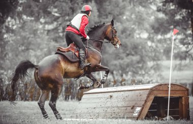 Genç kadın bir at antrenman sırasında ülke olay sahası, çift ton sanat atlar üzerinde