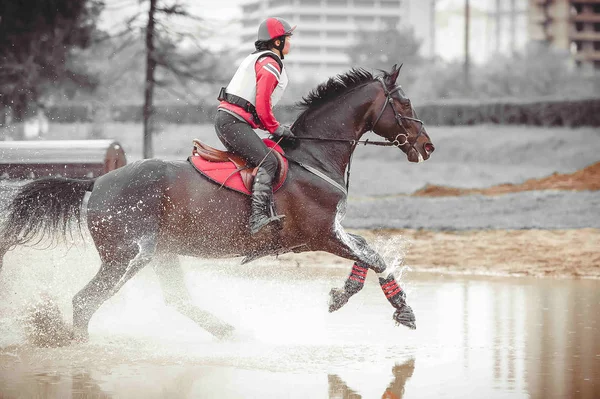 Jinete en un caballo de fondo supera obstáculo de agua en el aerosol, arte monocromático — Foto de Stock