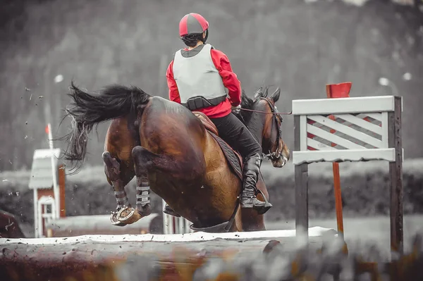 Young woman jumps a horse during practice on cross country eventing course, duotone art — Stock Photo, Image