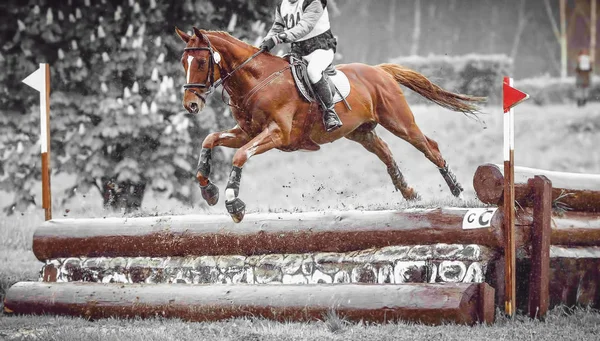 Cavaleiro pula um cavalo durante a prática em cross country eventing curso, duotone arte — Fotografia de Stock