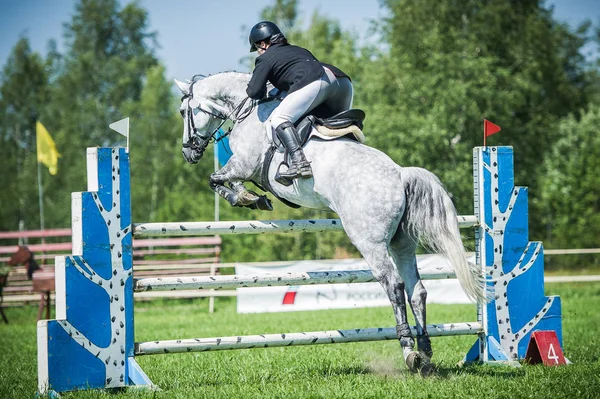 O piloto no cavalo jumper show branco superar obstáculos elevados na arena para show jumping no fundo céu azul — Fotografia de Stock