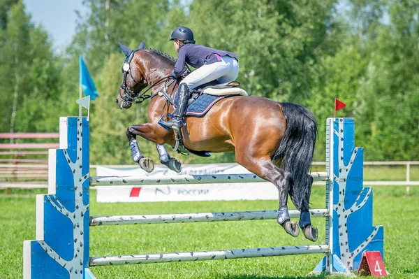 Le cavalier sur le cheval de saut d'obstacles baie surmonter les obstacles élevés dans l'arène pour le saut d'obstacles sur fond bleu ciel — Photo