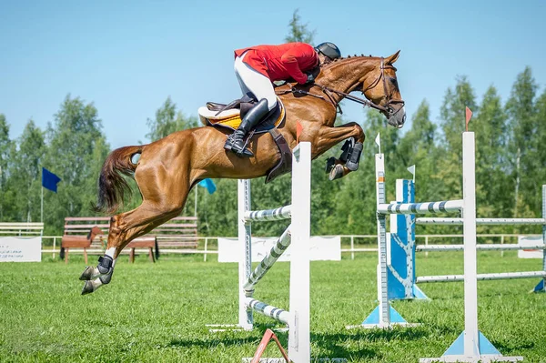 Il cavaliere sul cavallo saltatore spettacolo rosso superare gli ostacoli elevati nell'arena per show jumping sullo sfondo cielo blu — Foto Stock