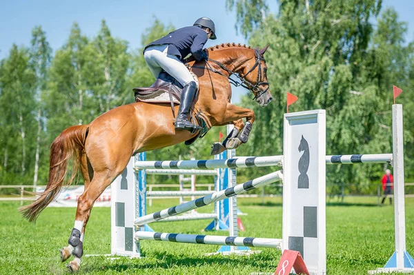 Il cavaliere sul cavallo saltatore spettacolo rosso superare gli ostacoli elevati nell'arena per show jumping sullo sfondo cielo blu — Foto Stock