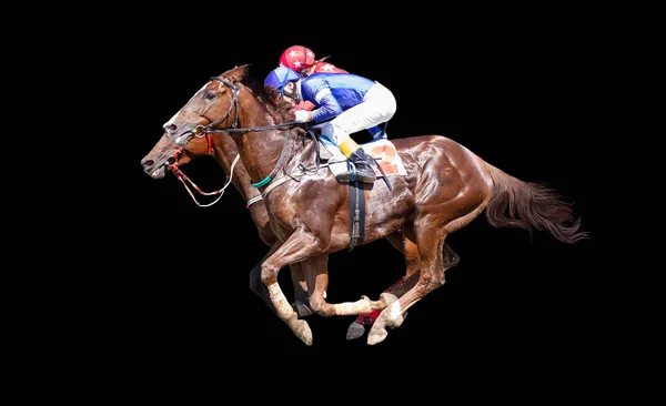 Two racing horses neck to neck in fierce competition for the finish line isolate on black background — Stock Photo, Image