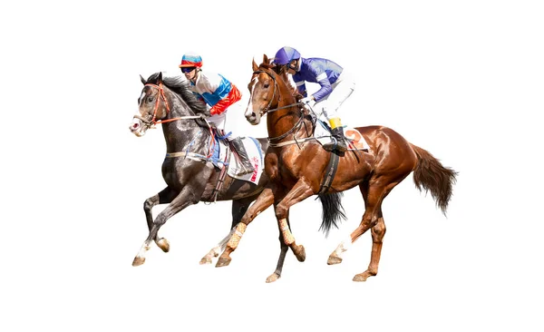 Dois cavalos de corrida pescoço a pescoço em competição feroz para a linha de chegada — Fotografia de Stock