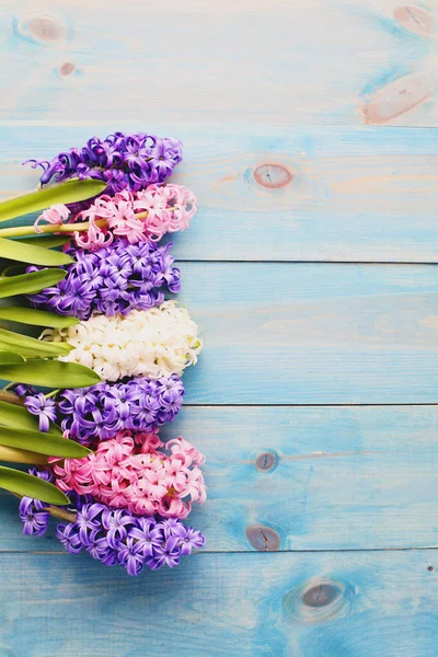 Rand van hyacinthus bloemen — Stockfoto