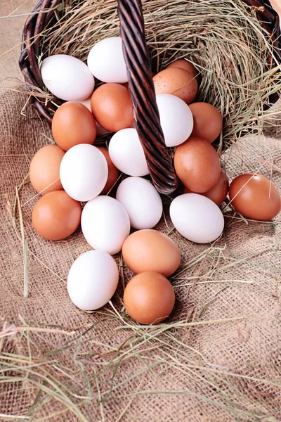 Basket full of easter eggs — Stock Photo, Image