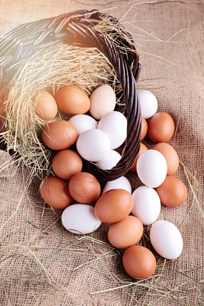 Mand vol verse eieren — Stockfoto