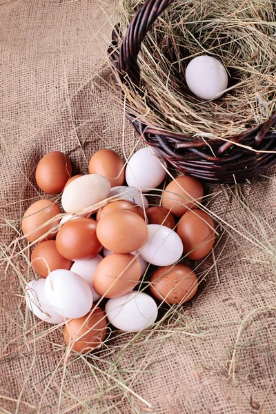 Farm eggs with nest — Stock Photo, Image