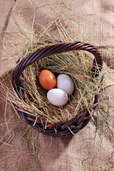 Basket full of fresh eggs — Stock Photo, Image