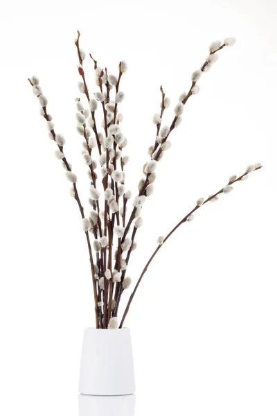 Fluffiga hängen på vit — Stockfoto