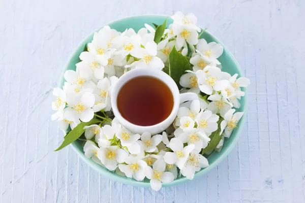 Tasse Kräutertee mit Jasminblüten — Stockfoto