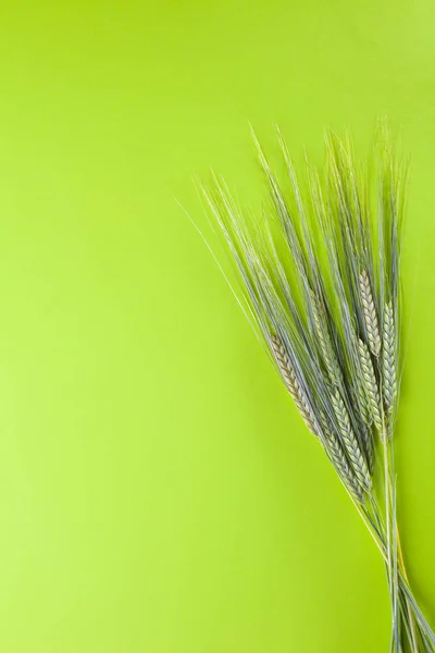 Buğday çok güzel grup — Stok fotoğraf