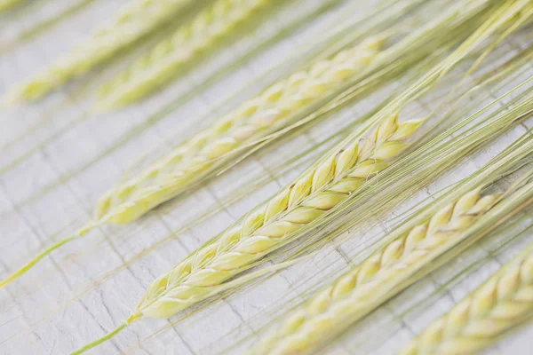 Bel mazzo di grano — Foto Stock