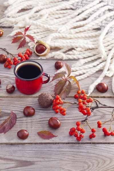 Coffee cup with chestnuts and blanket — Stock Photo, Image