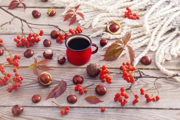 Coffee cup with chestnuts and blanket — Stock Photo, Image