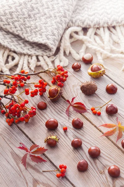 Zusammensetzung der Herbstzeit — Stockfoto