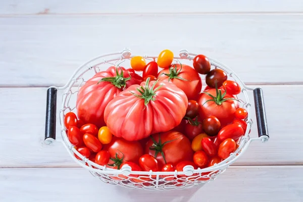 Колекція прекрасних помідорів в кошику — стокове фото