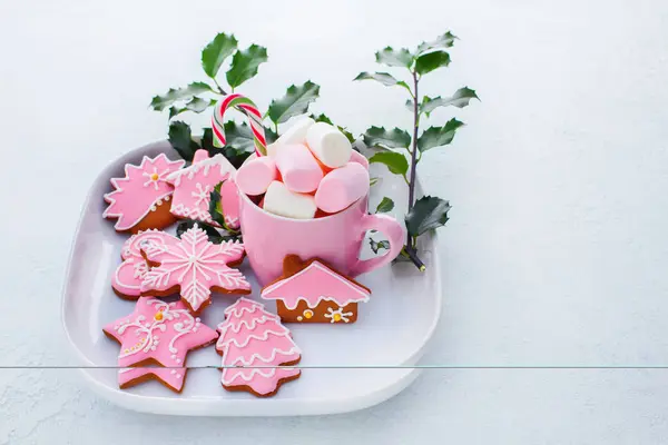 마쉬 멜 로우와 핑크 gingerbreads — 스톡 사진