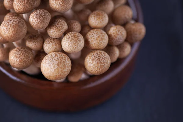 Shimeji mushrooms in bowl — Stock Photo, Image