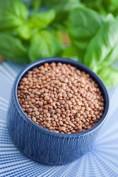 Lenticchie vegetariane in ciotola di ceramica — Foto Stock