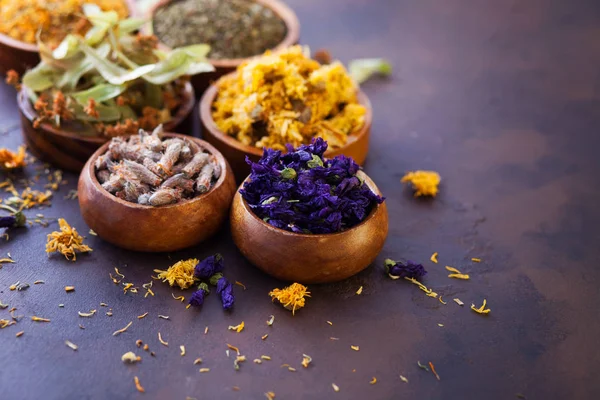 Medicina Herbal Alternativa Natural Ervas Secas Flores Tigelas Madeira Foco — Fotografia de Stock