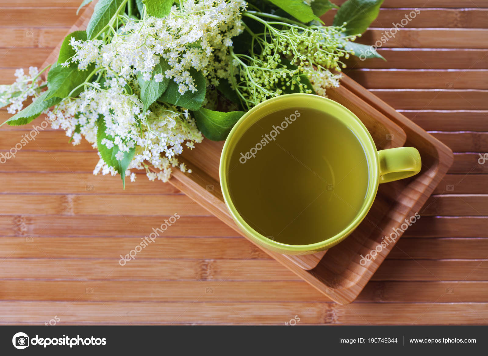 Tasse Thé Fleur Sureau Médecine Alternative Photographie
