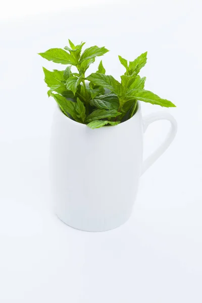 Fresh Mint Leaves White Cup Isolated White Background — Stock Photo, Image